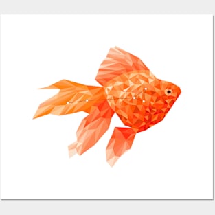 Zodiacal art fish Posters and Art